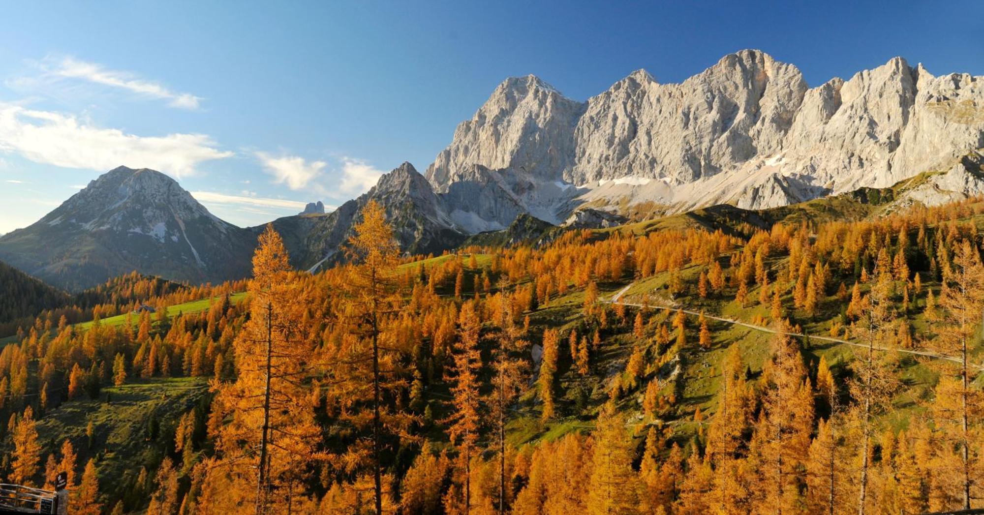Naturchalet Hoeflehner - Heimgefuehl & Ruhelage An Loipe & Wanderweg Ramsau am Dachstein Buitenkant foto