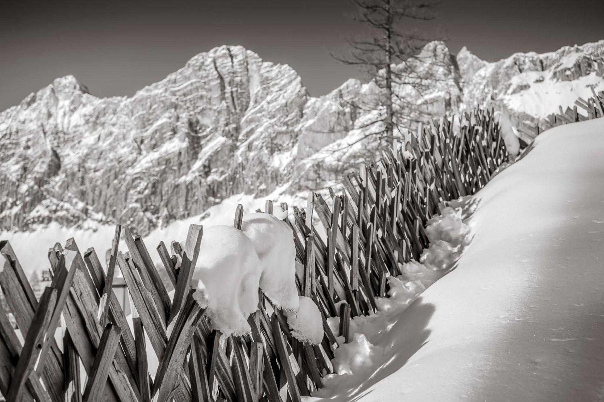 Naturchalet Hoeflehner - Heimgefuehl & Ruhelage An Loipe & Wanderweg Ramsau am Dachstein Buitenkant foto